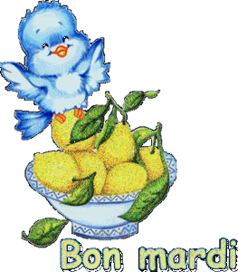 Gif animé Bon mardi oiseau